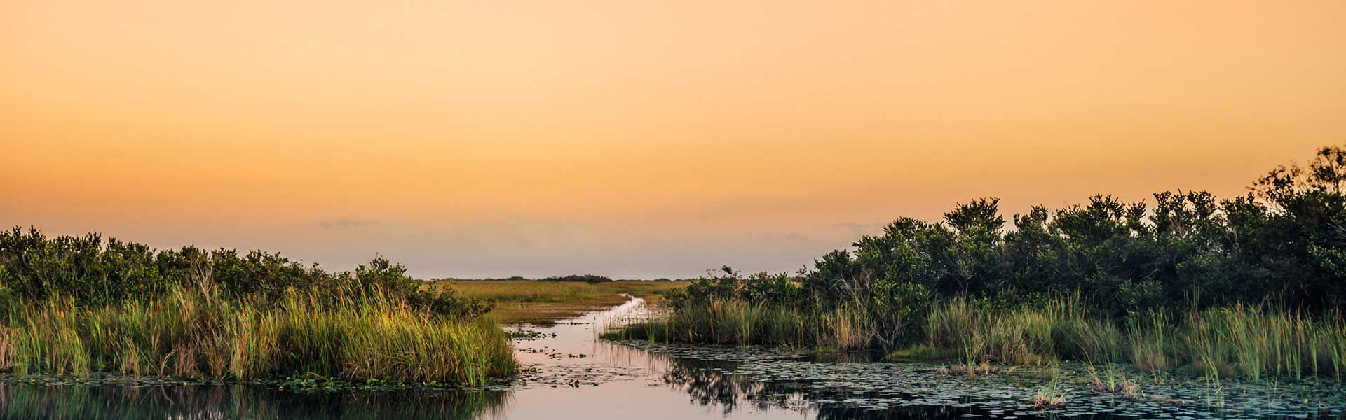 Everglades Sunset Miami Campaign Page Banner 01Sep22