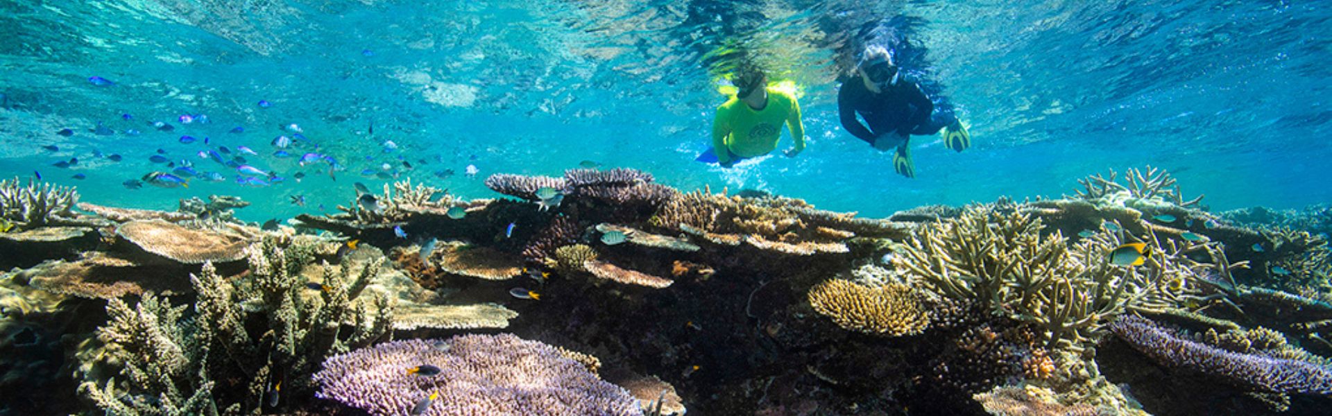 Snorkelling in Great Barrier Reef, Queensland, Australia, 20Oct22