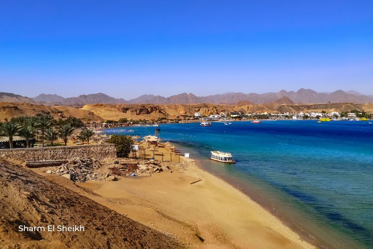 Beach Sharm El Sheikh Egypt Long Stay 16Jan23