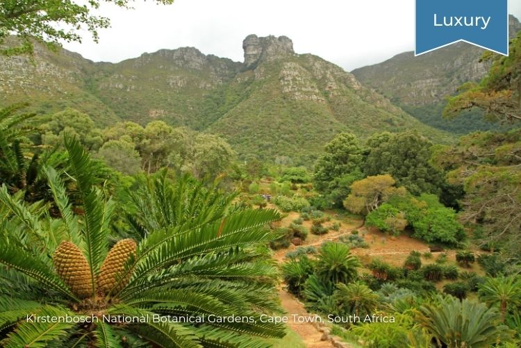 Kirstenbosch National Botanical Gardens Cape Town Cape Town to Kruger_ luxury South African rail journey 09Mar23