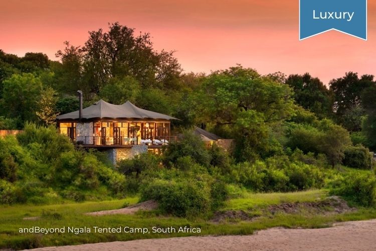 Ngala andBeyond tented camp pool Garden Route to Kruger 09Mar23