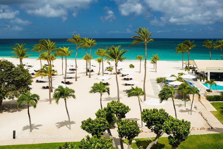 Bucuti & Tara Beach Resort, Aruba 15May23 (5)