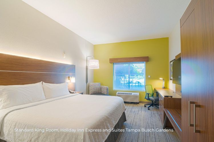 Florida Sports Coast Holiday Inn Express and Suites Tampa Busch Gardens king room 15Jun23