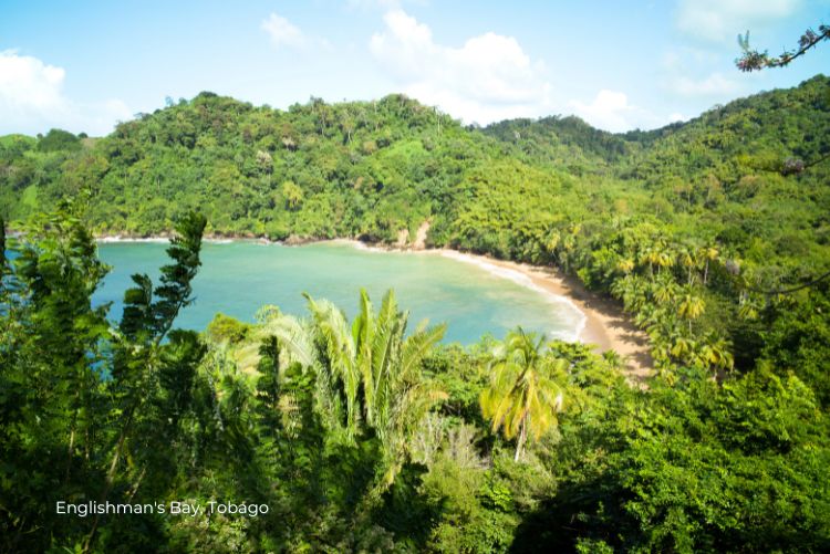 Englishman's Bay Sustainable Tobago