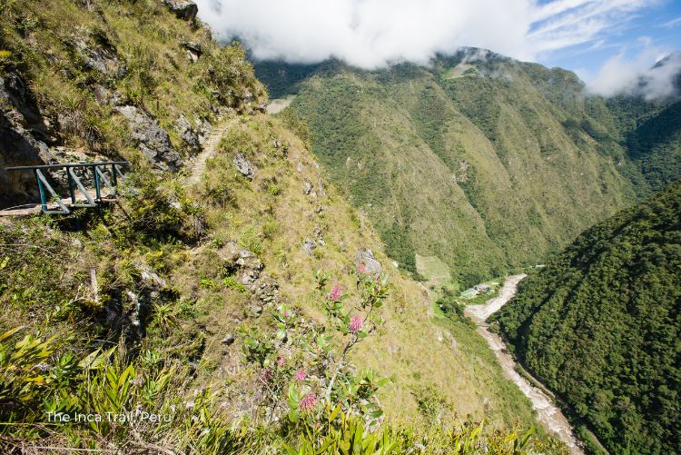 Machu Picchu The Inca Trail 25Jul23