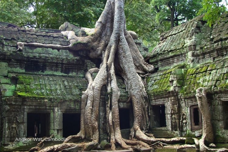 4. Angkor Wat Cambodia and Vietnam Tour 22Apr24
